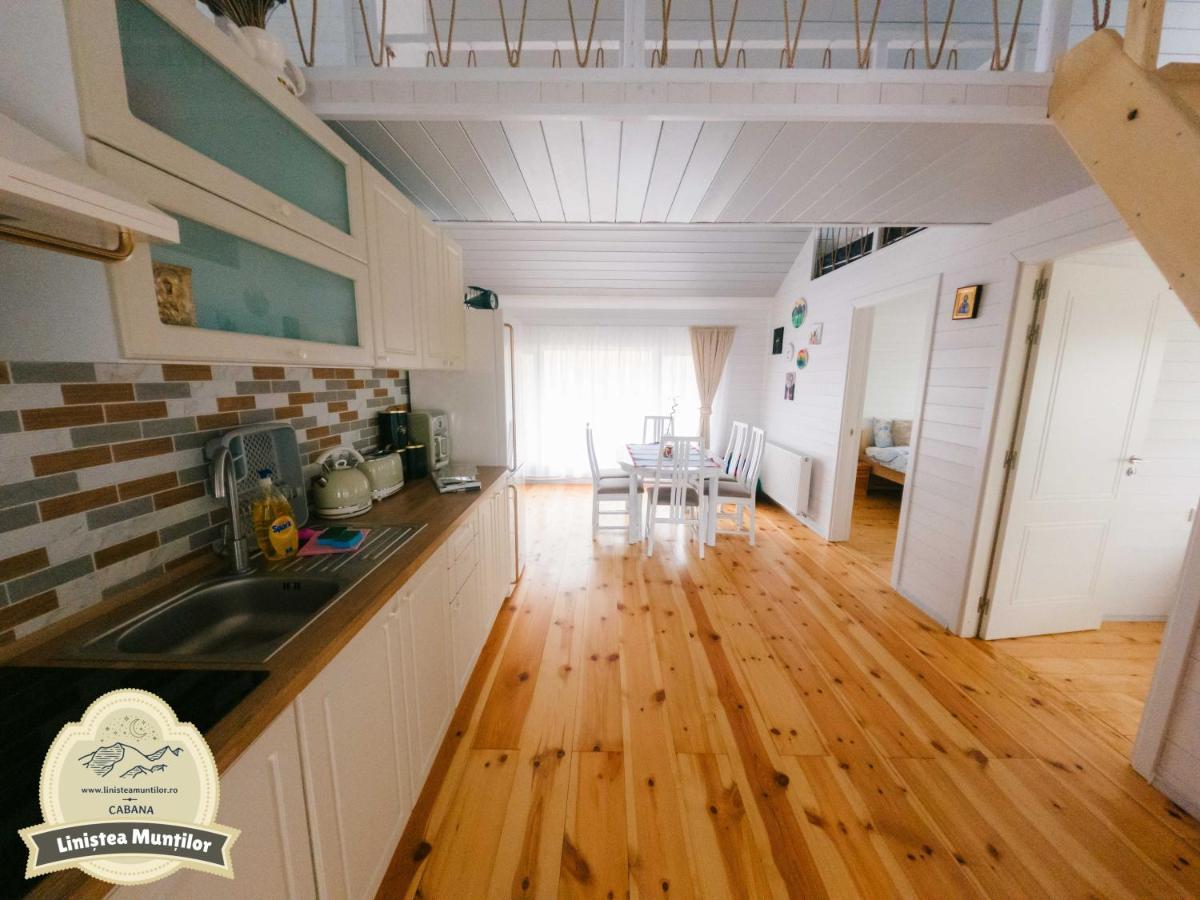 Linistea Muntilor Chalet Porumbacu de Sus Esterno foto