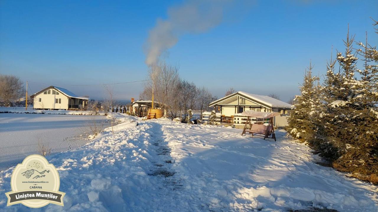 Linistea Muntilor Chalet Porumbacu de Sus Esterno foto
